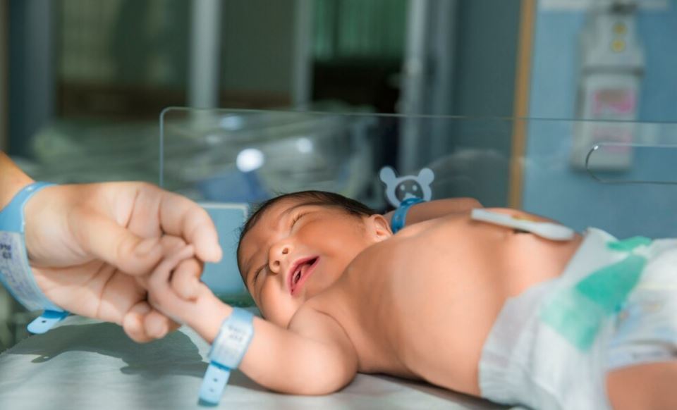 zika virus baby-